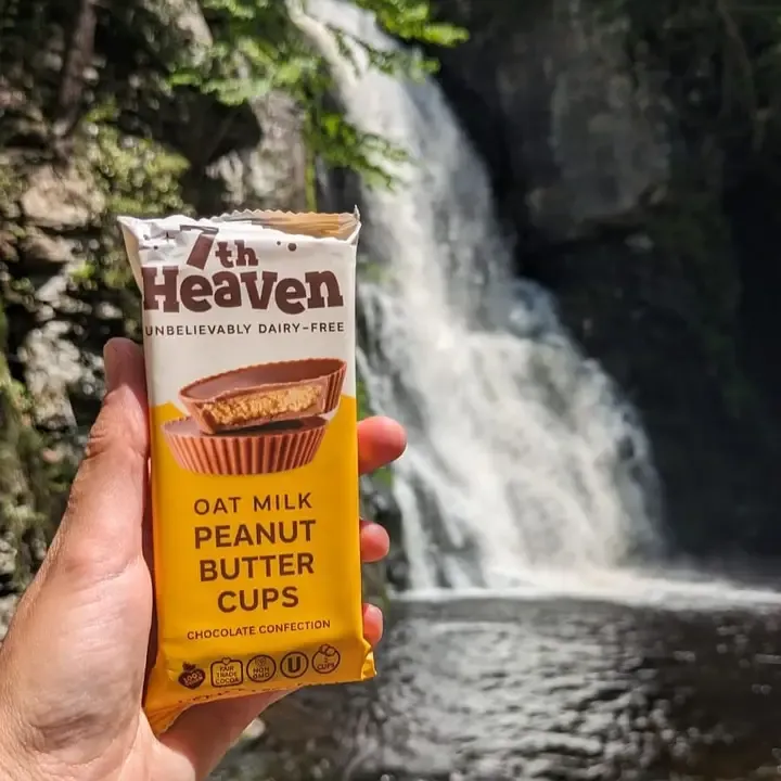 Peanut Butter Cups - Oat Milk Chocolate Confection