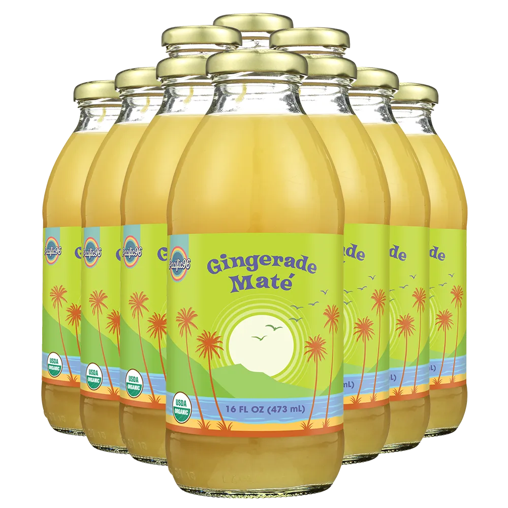 Gingerade Mate 16oz - Pack of 10