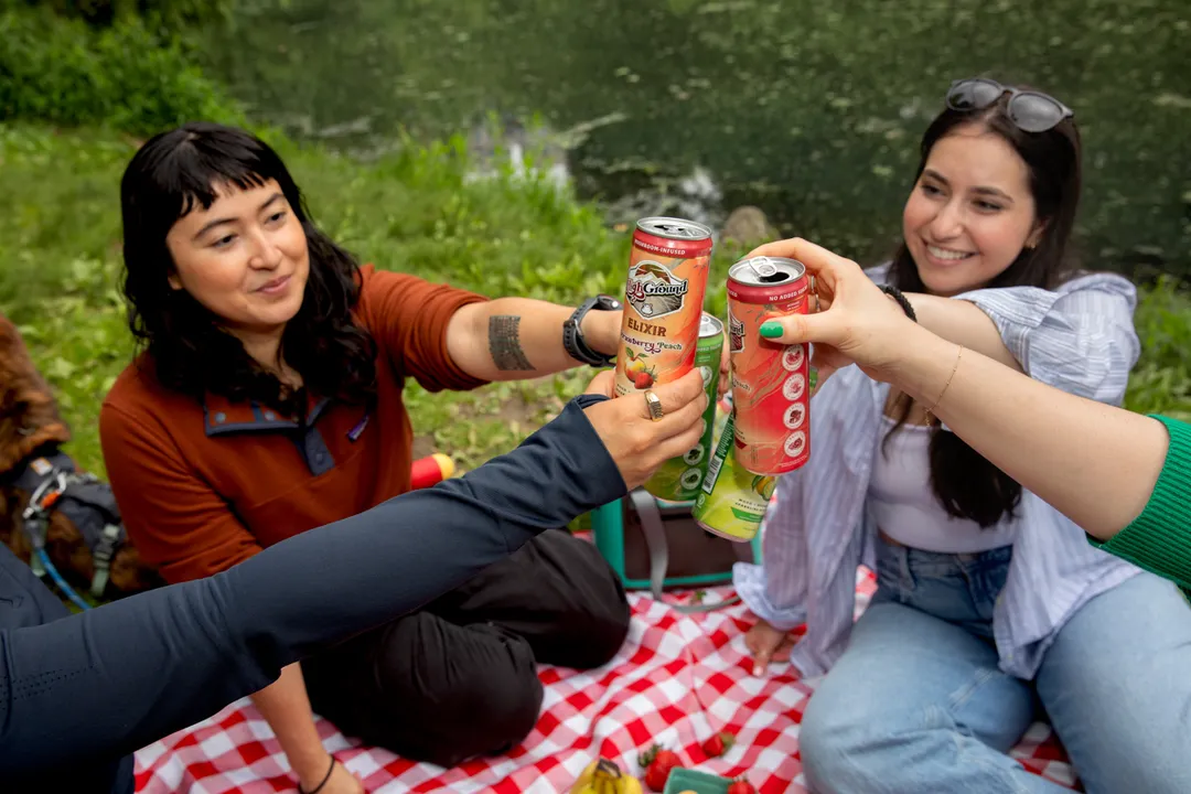High Ground Elixir All Natural Mushroom Seltzer - Strawberry Peach 12oz