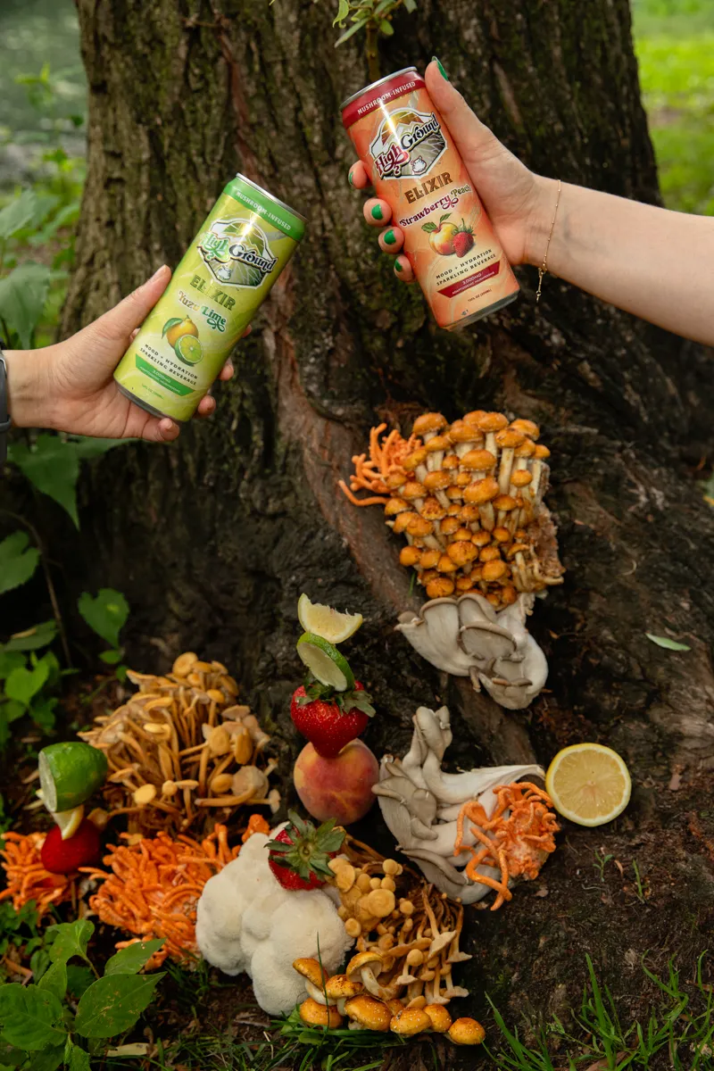 High Ground Elixir All Natural Mushroom Seltzer - Strawberry Peach 12oz