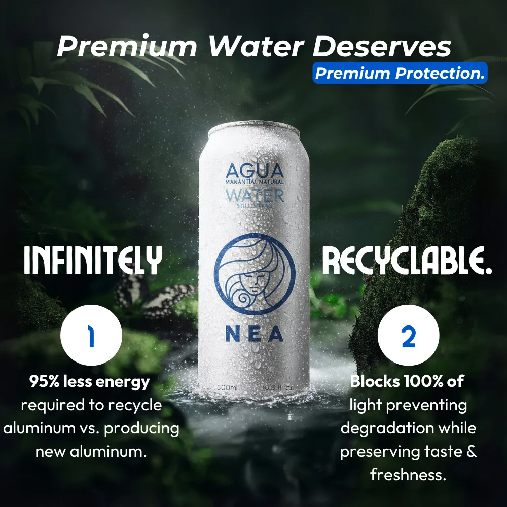 NEA Canned Water Spring Water 12 Pack