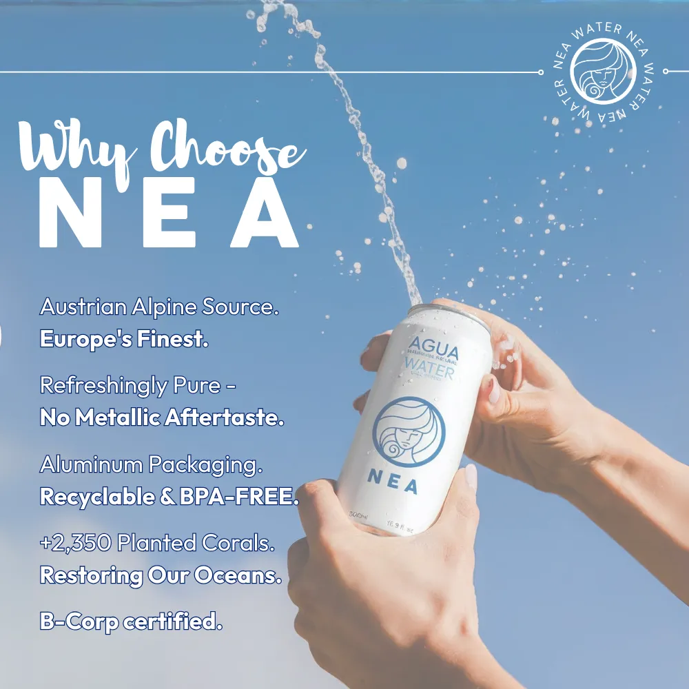 NEA Canned Water Spring Water 12 Pack