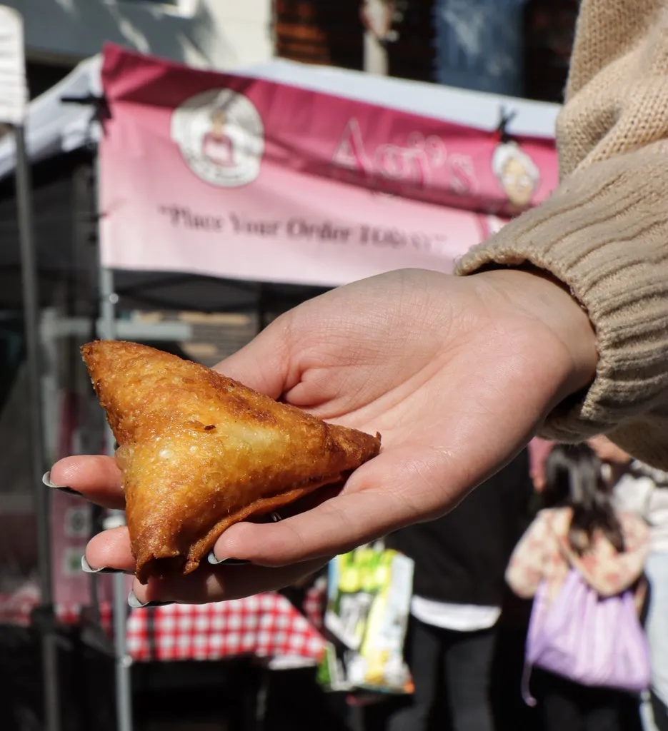 Agi’s Veggie/Vegan Samosa 6 Pack Case