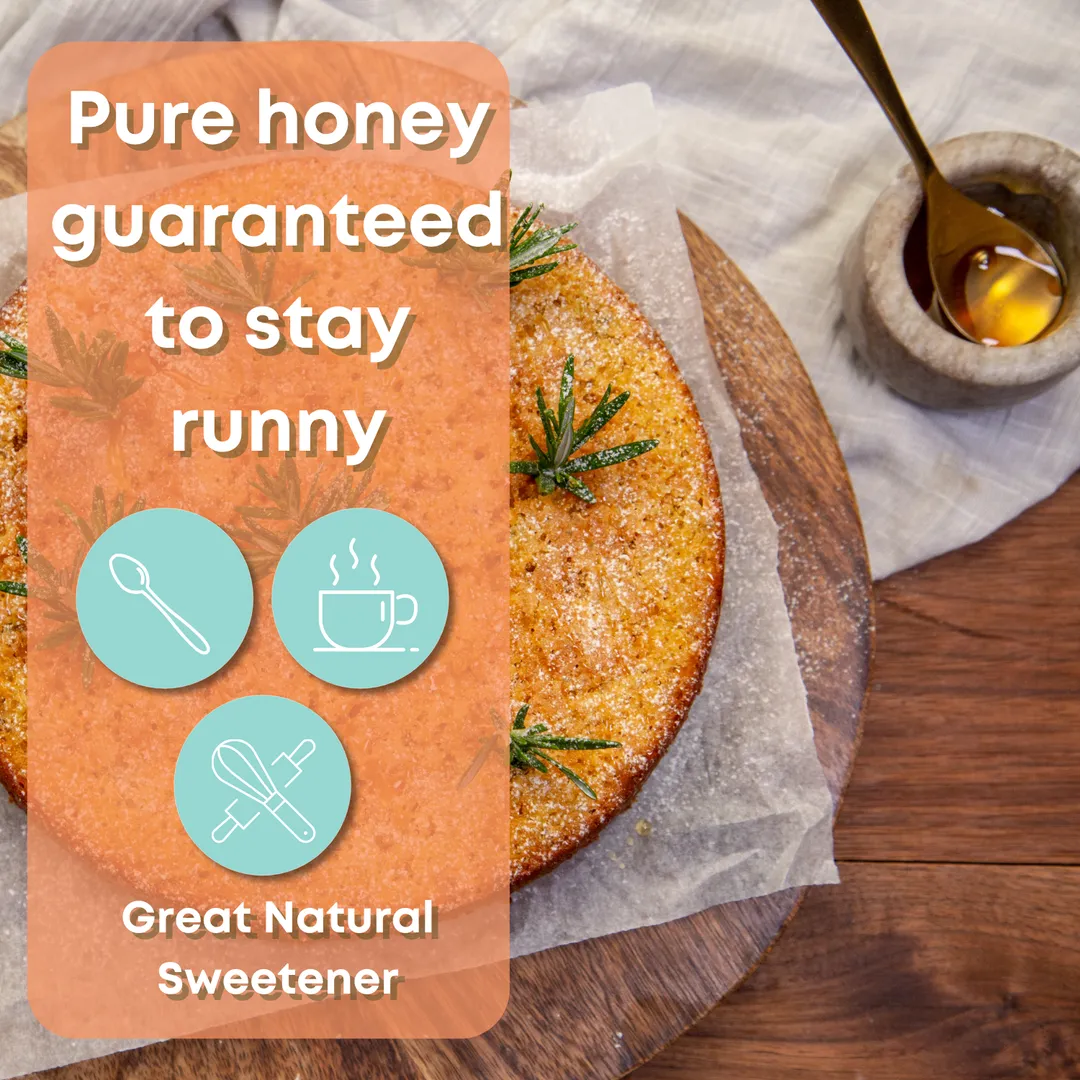 Honeydew Honey | Black Forest | Raw | Unfiltered | 17.6oz