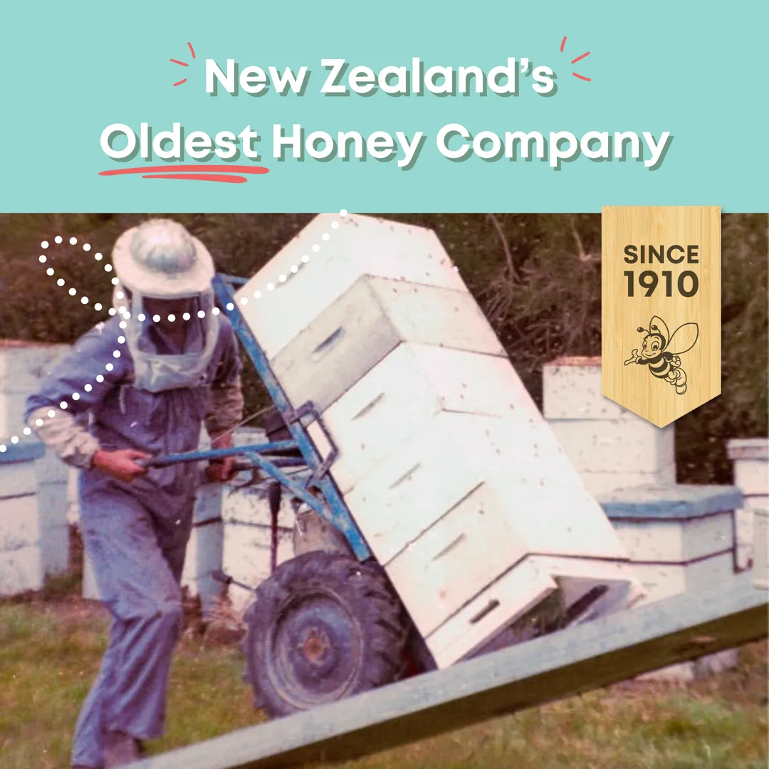 Honeydew Honey | Black Forest | Raw | Unfiltered | 17.6oz