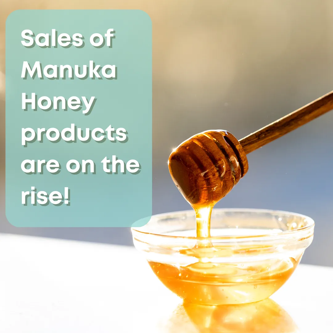 Manuka & Honeydew Honey Lozenges | Cough Drops | 16 Ct