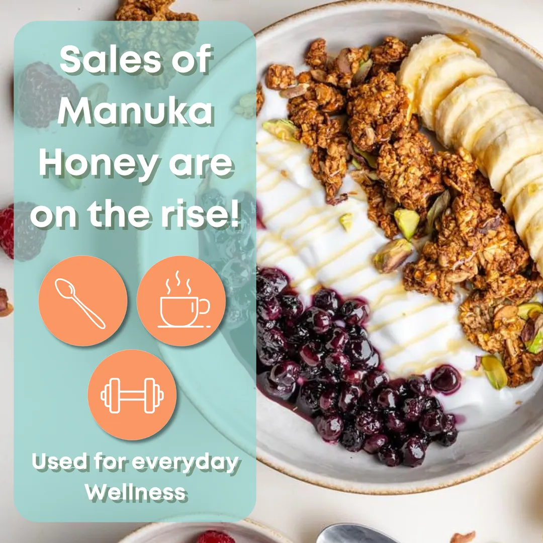 Manuka 70+ Monofloral Honey | Raw | Unfiltered | 17.6oz
