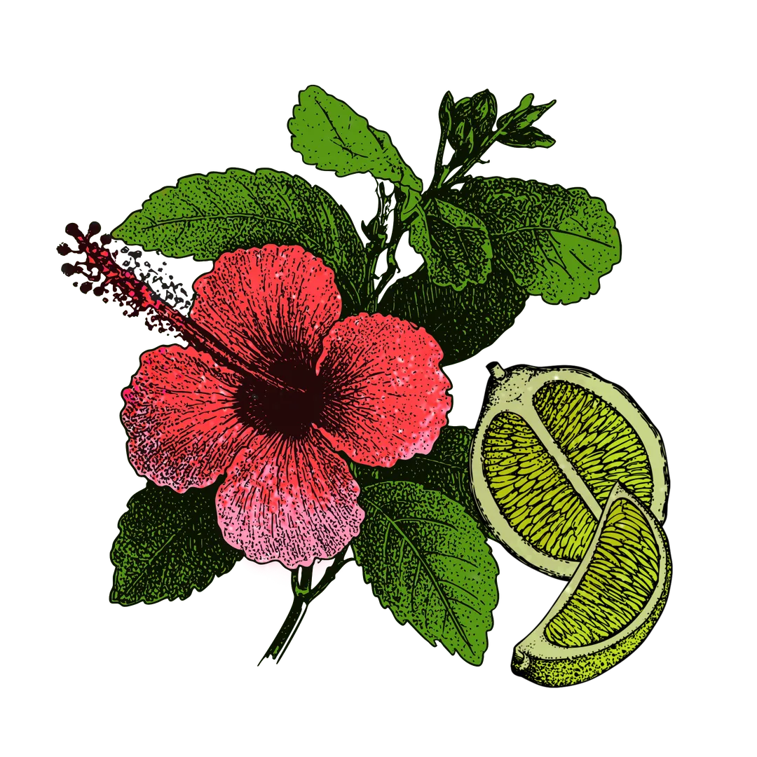 Aire Hibiscus Con Limón | 6x 4-packs