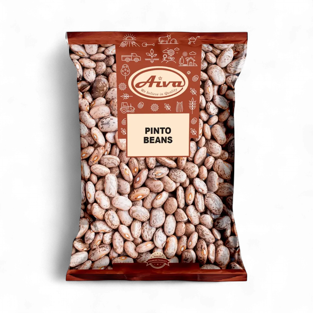 Pinto Bean