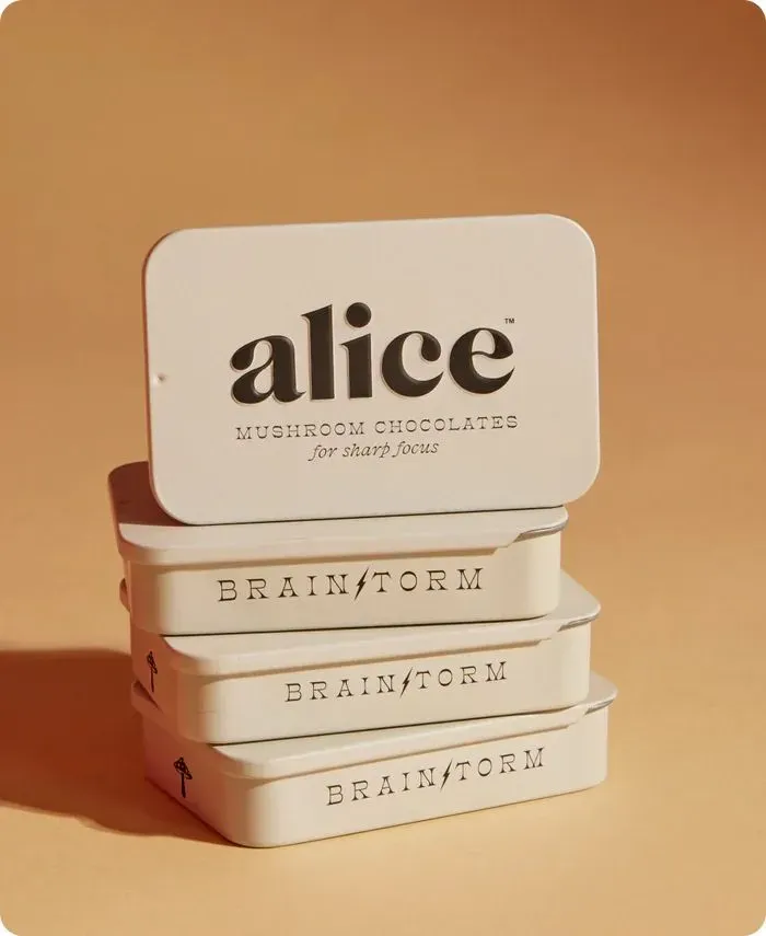 Brainstorm – Mushroom Chocolates