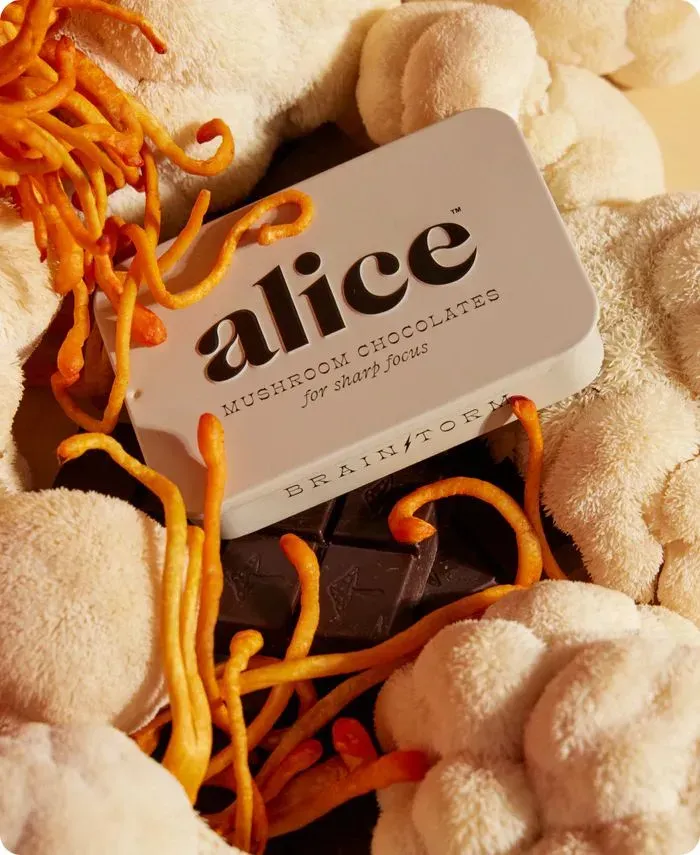 Brainstorm – Mushroom Chocolates