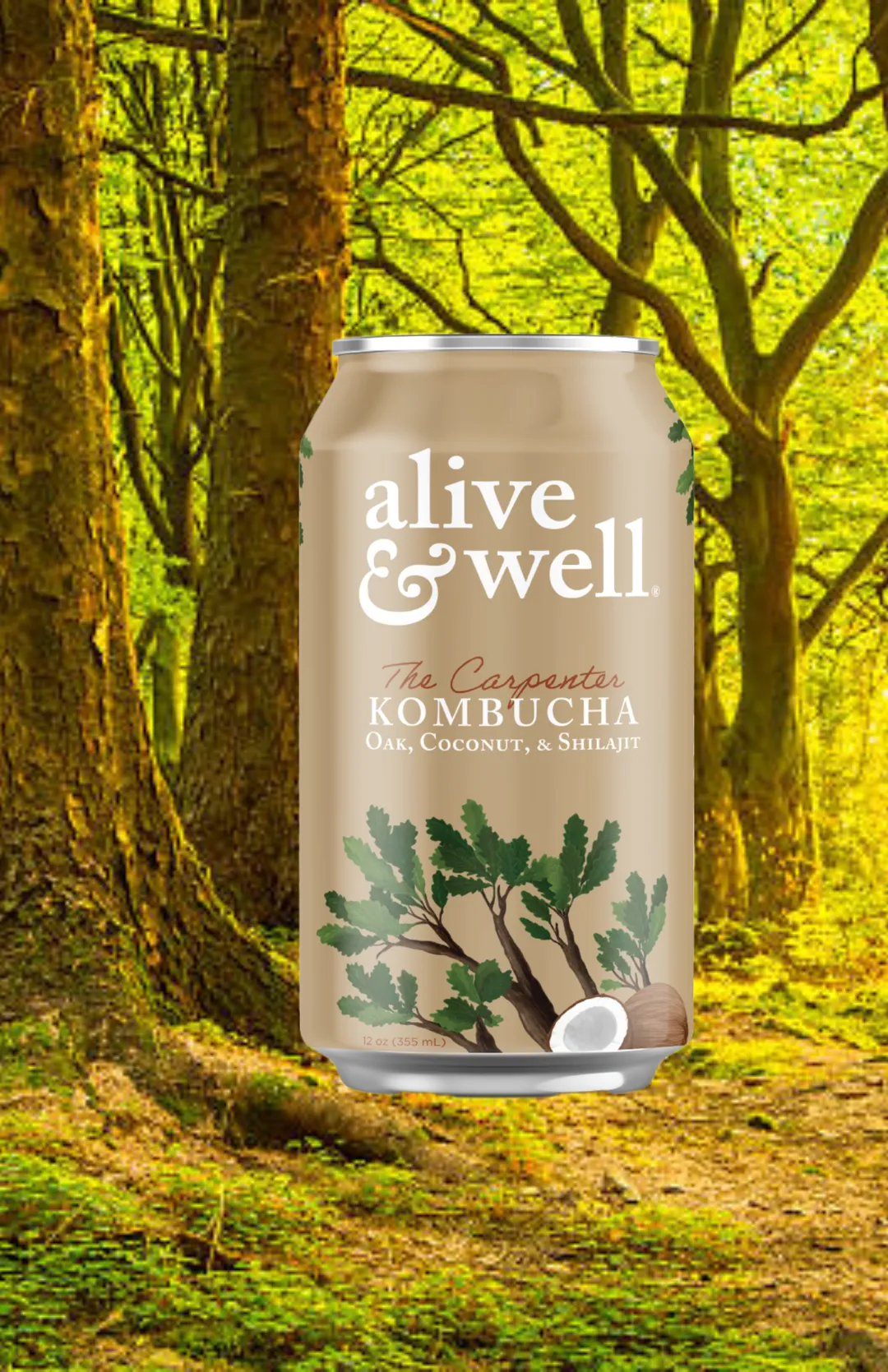 Oak & Coconut with Shilajit Kombucha Organic - 6pk