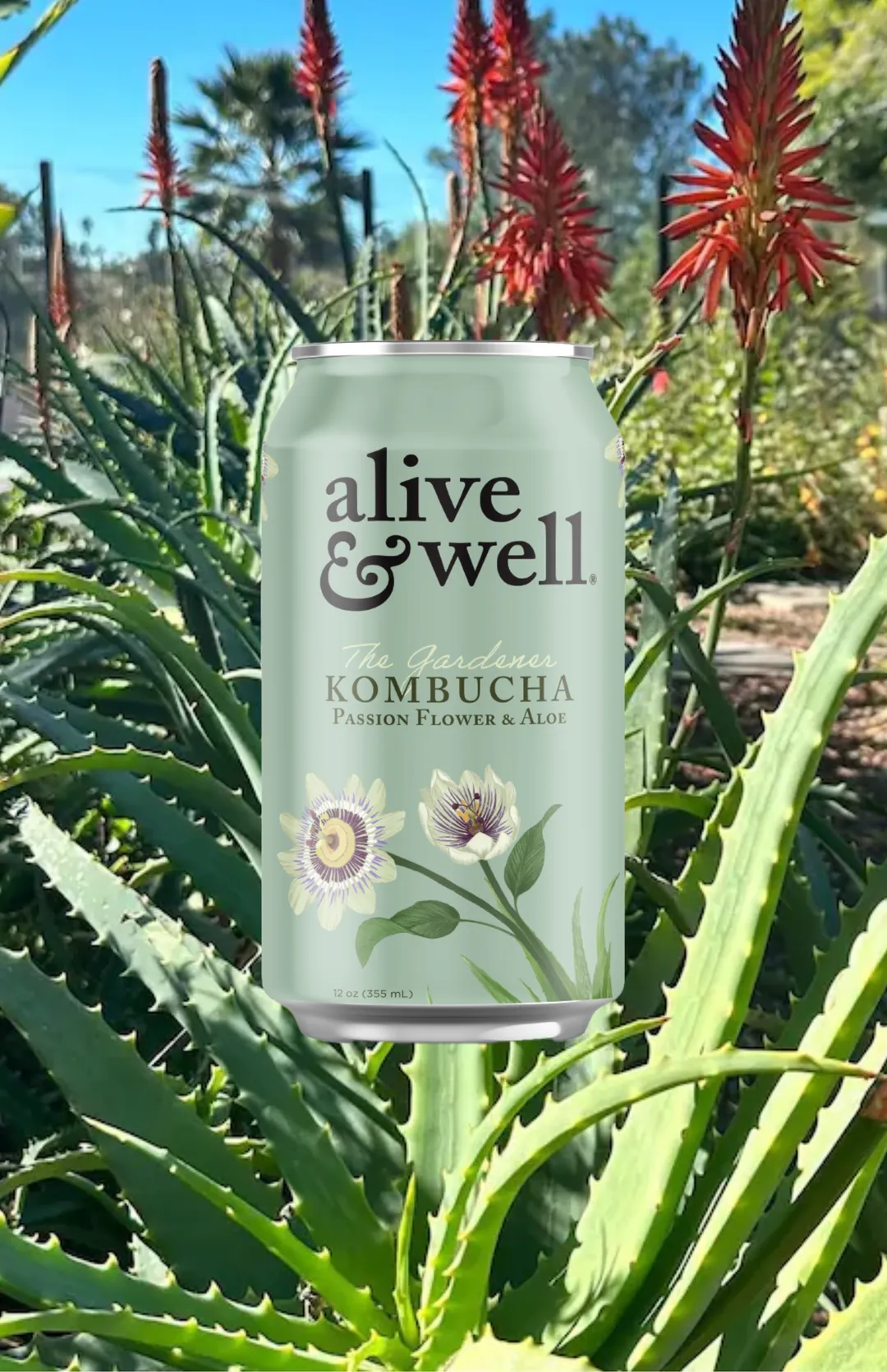 Passionflower & Aloe Kombucha Organic - 6pk