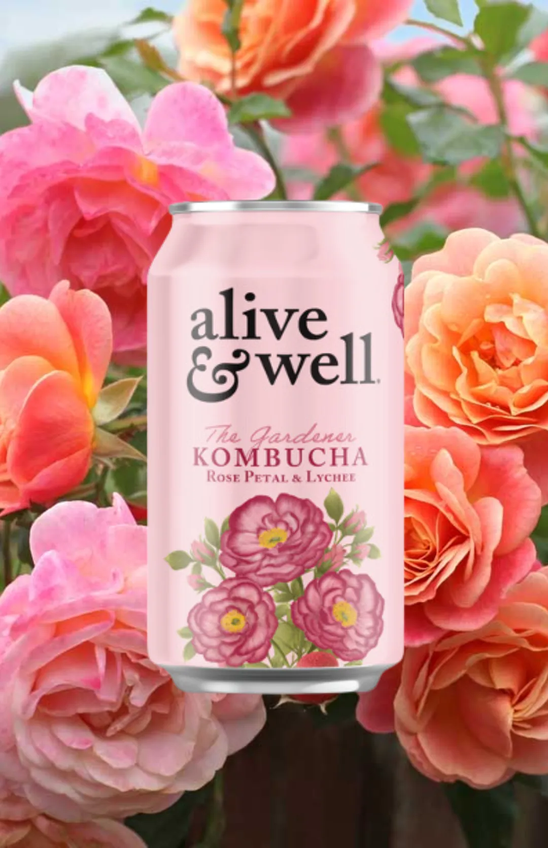 Rose Petal & Lychee Kombucha Organic - 6pk