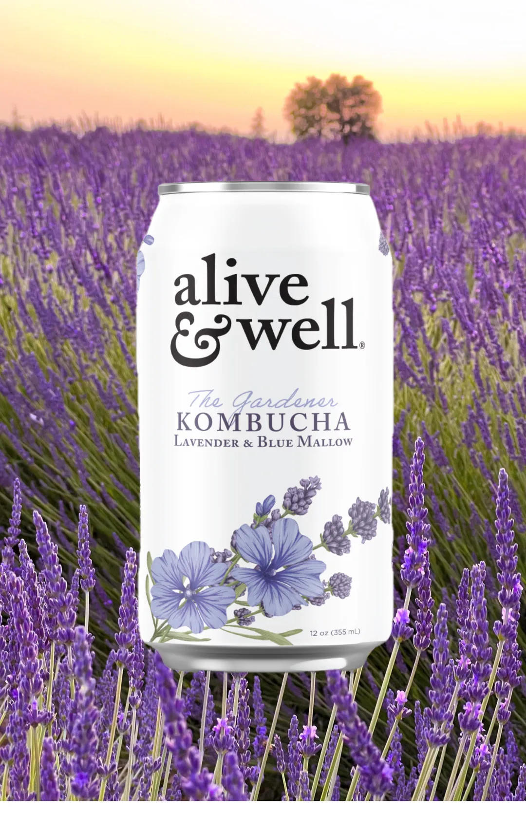 Lavender & Blue Mallow Kombucha Organic - 6pk