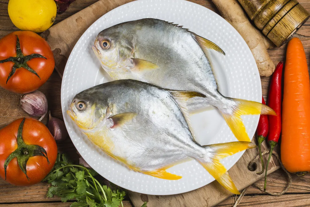 Golden Pompano, Whole 1 - 1/4 lb Fish / 15 per / 1 case