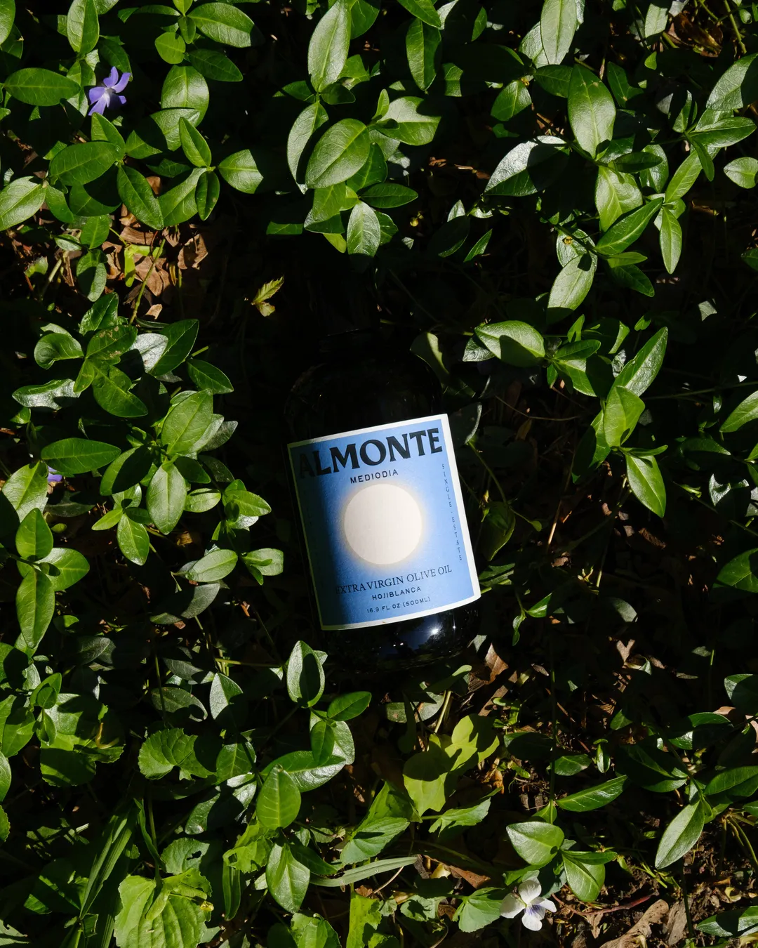 Mediodia Extra Virgin Olive Oil | 100% Hojiblanca, 2025/26 Harvest