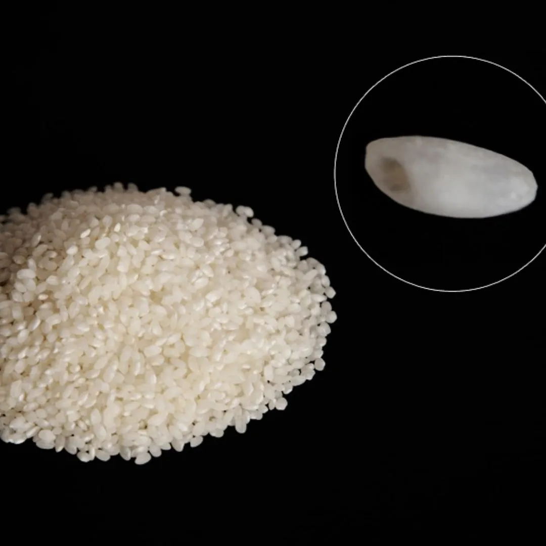 Antonio Tomas Bomba Rice - 2.2 lbs, 1.0 kg.