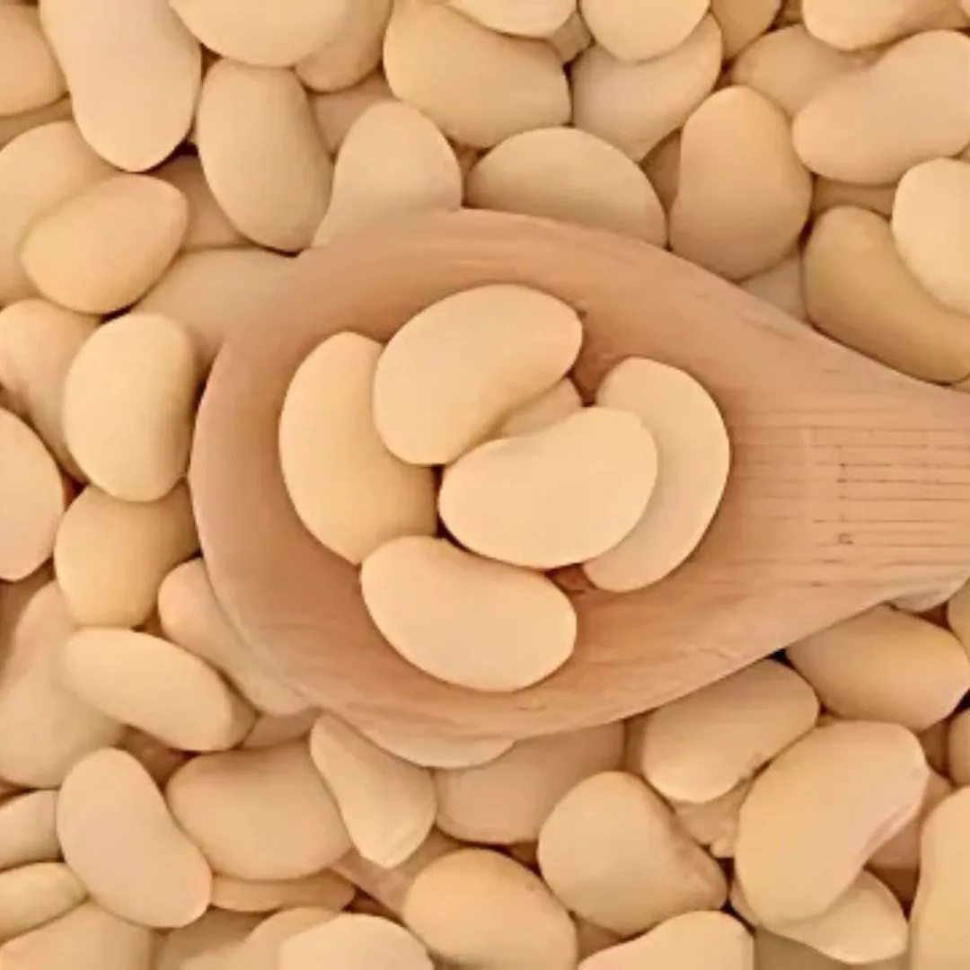 Cacarola - Portugal - Butter Beans - 540 grams