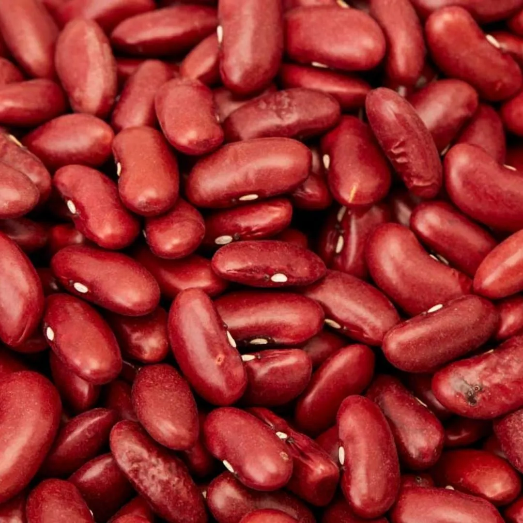 Cacarola - Portugal - Red Bean - 540 grams