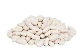 Cacarola - Portugal - White Beans Fidalgo Beans - 540 grams