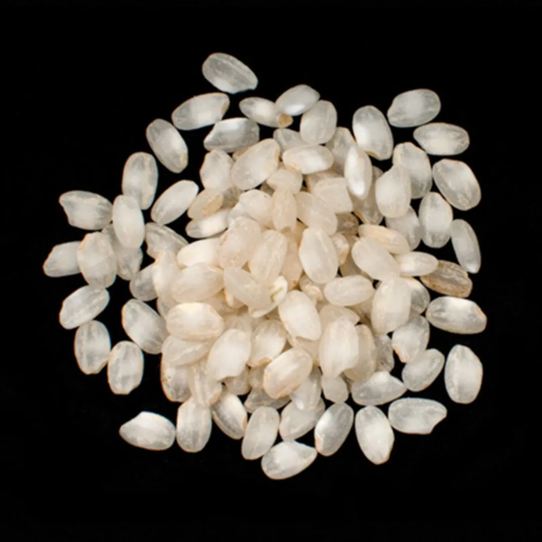Calasparra - Spain - Calasparra/Bomba Rice - 11 lbs