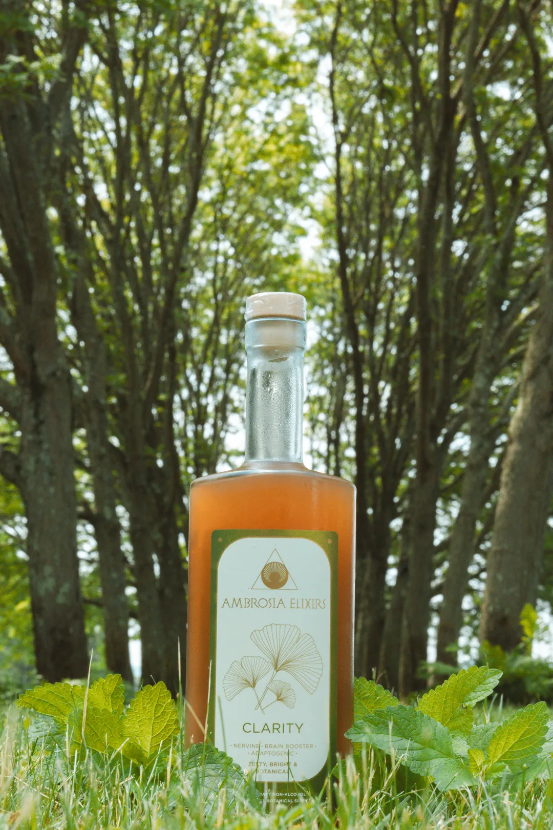 Clarity Crate - 12 Premium Bottles 
