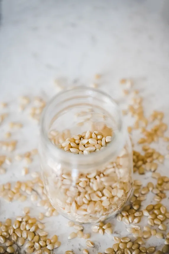 25lb. Bag of Medium White Popcorn