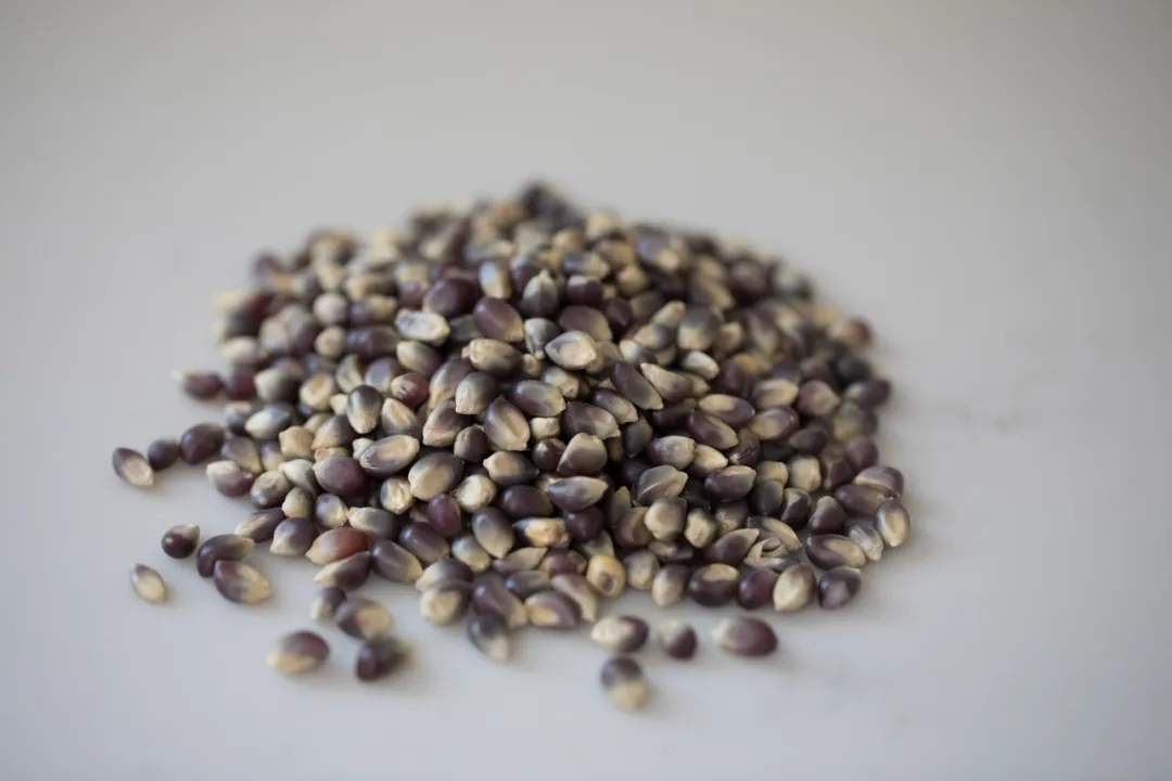 25lb. Bag of Blue Popcorn
