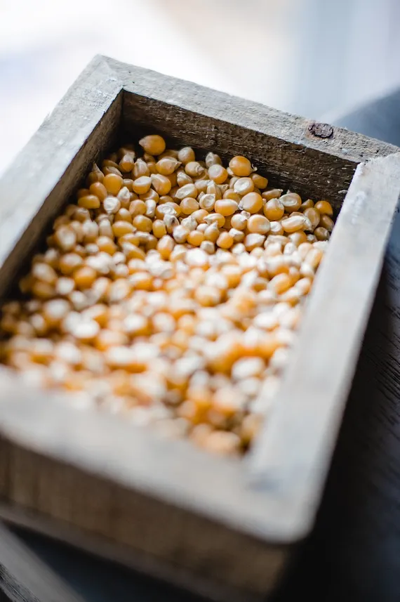 25lb. Bag of Extra Large Caramel Type Popcorn