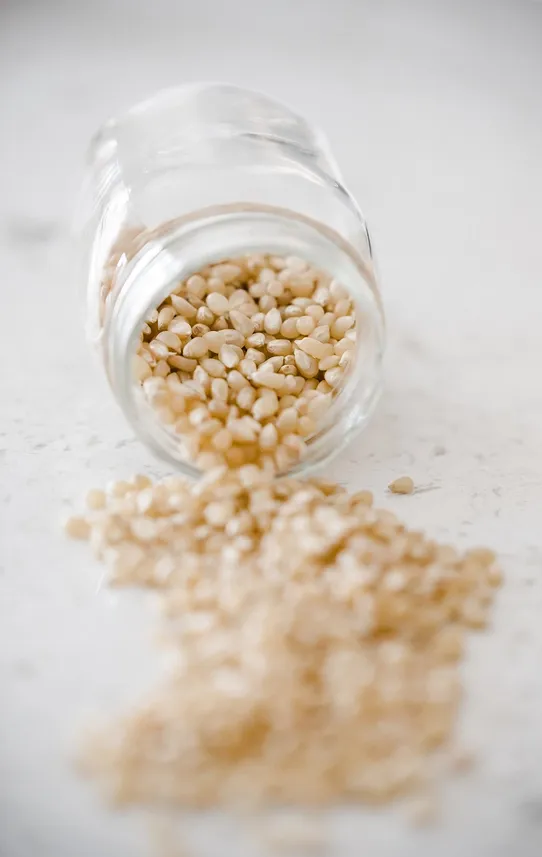 6lb Bag of Medium White Popcorn
