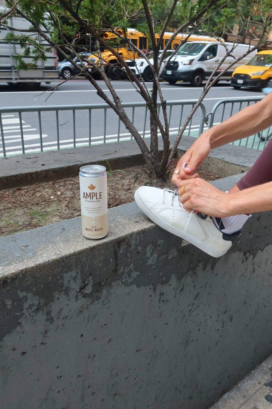 Ample Maple Water