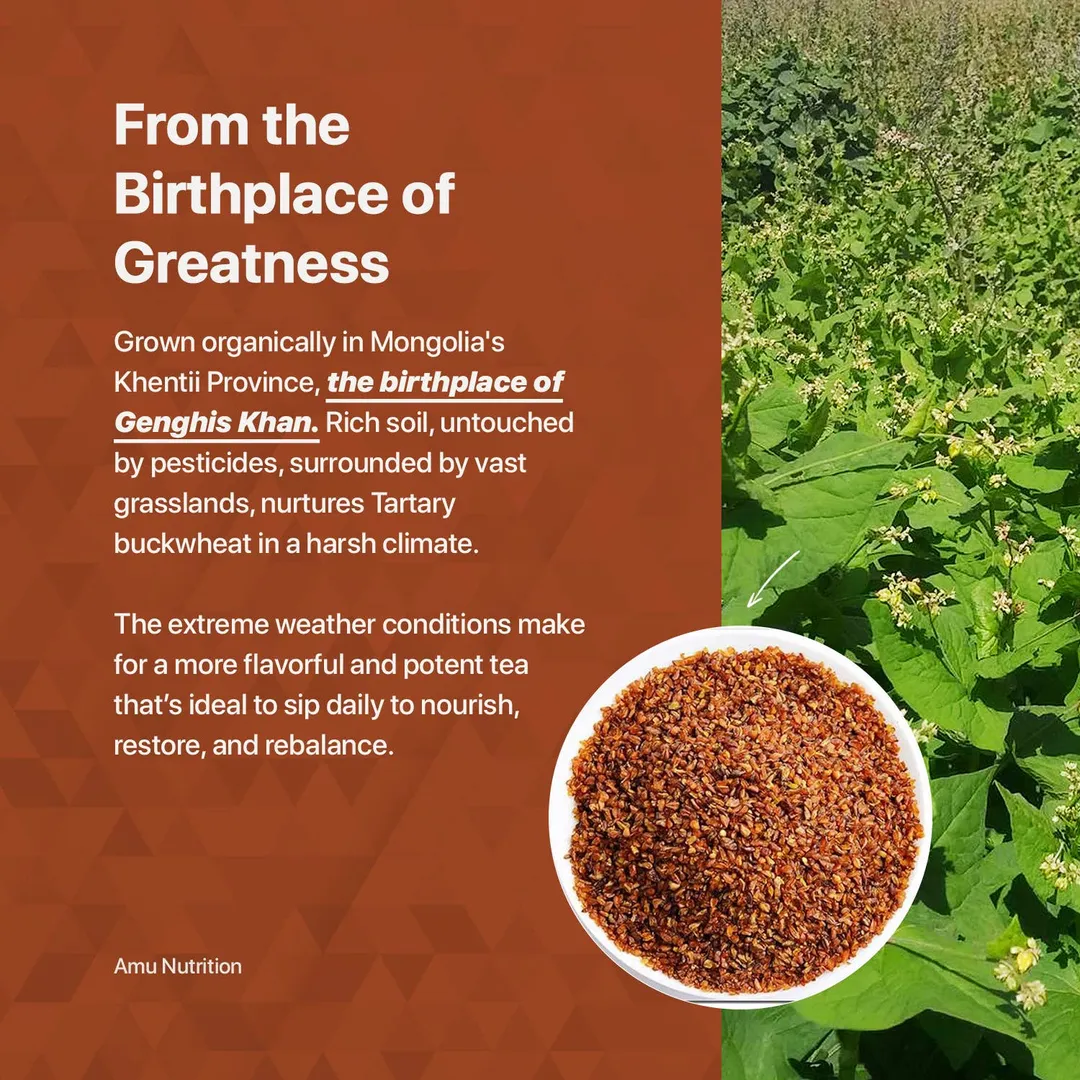 Himalayan Tartary Buckwheat Tea for Tea shops 1kg size