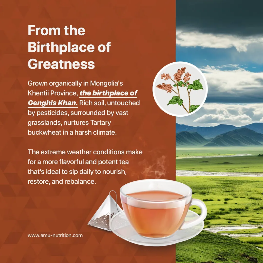 Himalayan Buckwheat Detox Caffeine-Free Tea Bags - 15 Pack