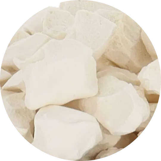 Freeze Dried Ice Cream (Butter Pecan) (Small Bag, 1oz)