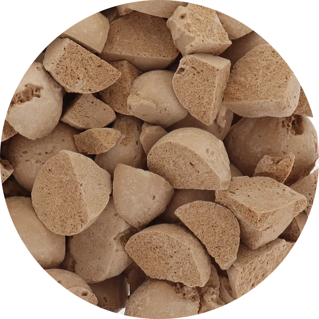 Freeze Dried Ice Cream (Cappuccino) (Small Bag, 1oz)