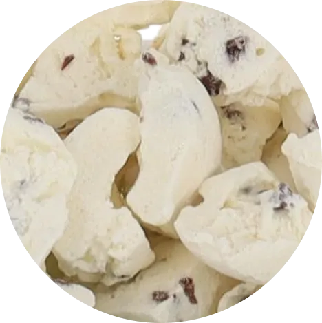 Freeze Dried Ice Cream (Chocolate Chip) (Small Bag, 1oz)
