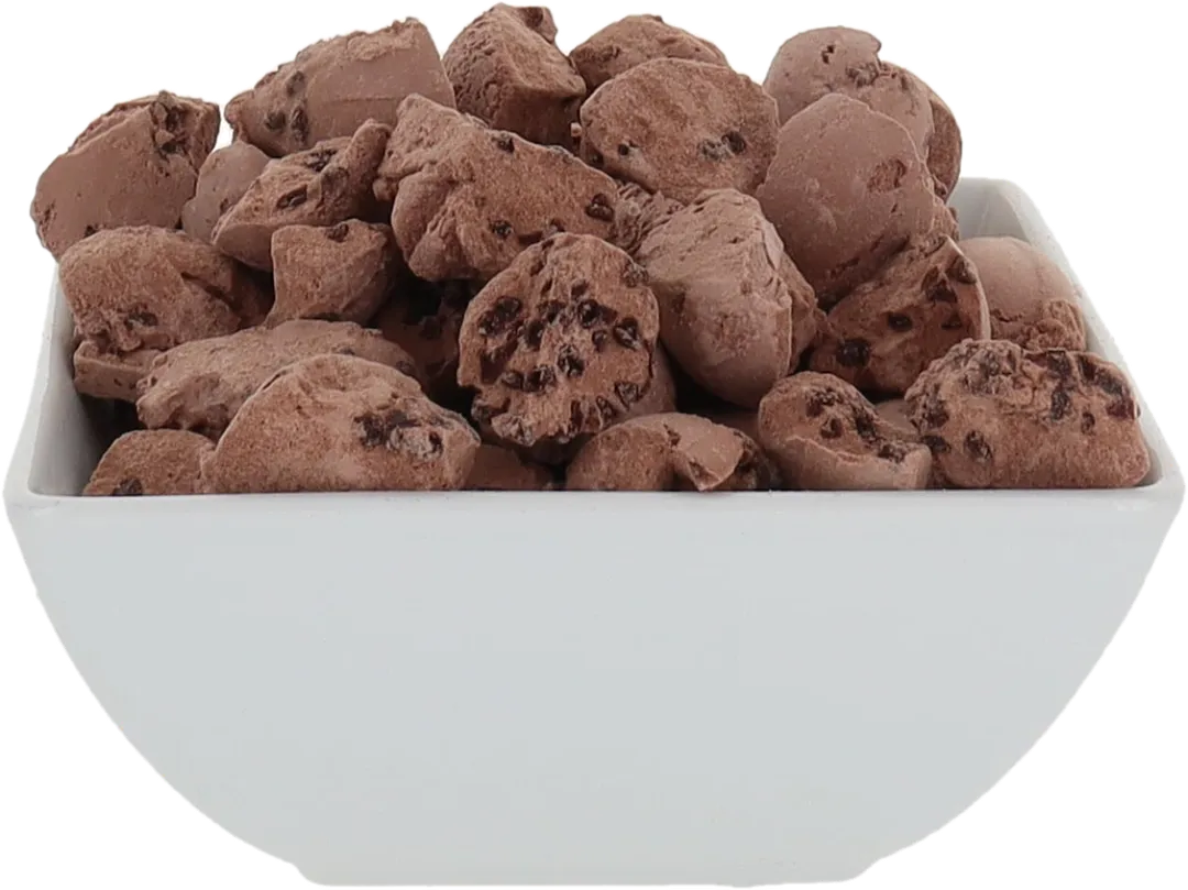 Freeze Dried Ice Cream (Chocolate Chocolate Chip) (Small Bag, 1oz)