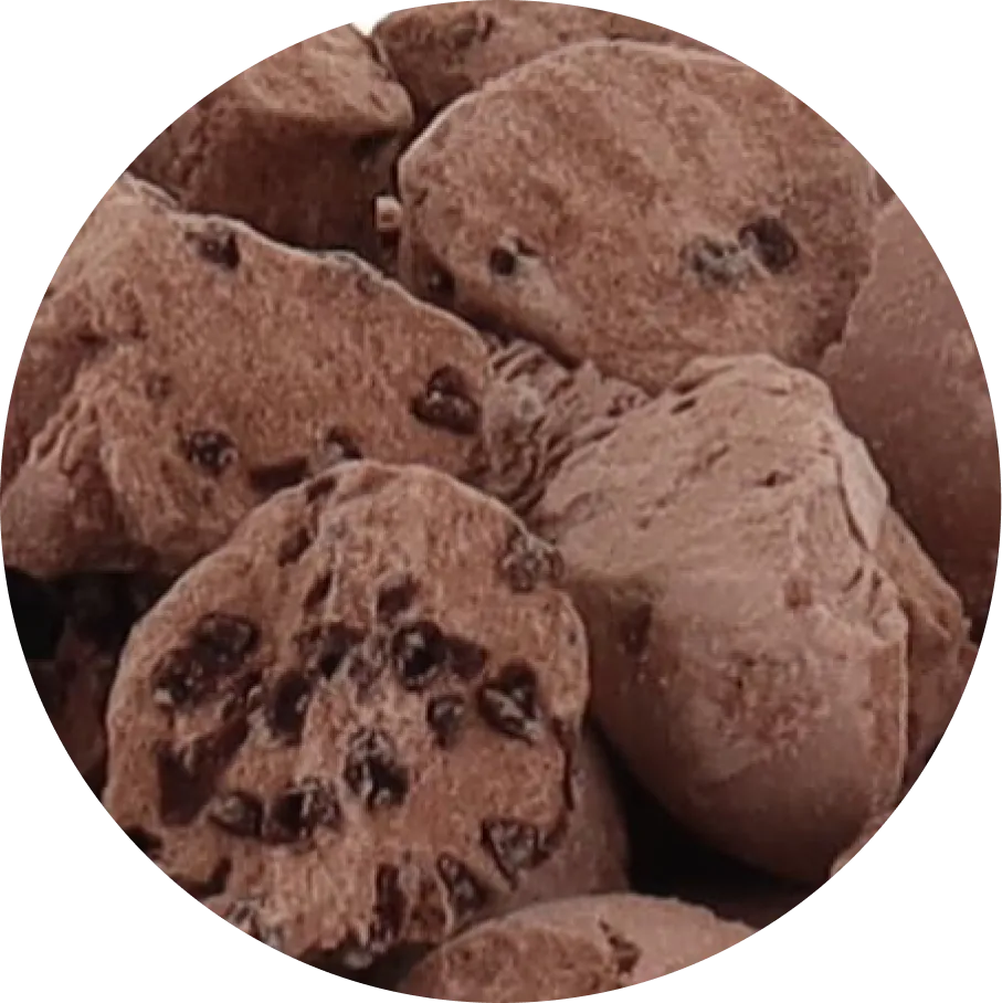 Freeze Dried Ice Cream (Chocolate Chocolate Chip) (Large Bag, 2.5oz)