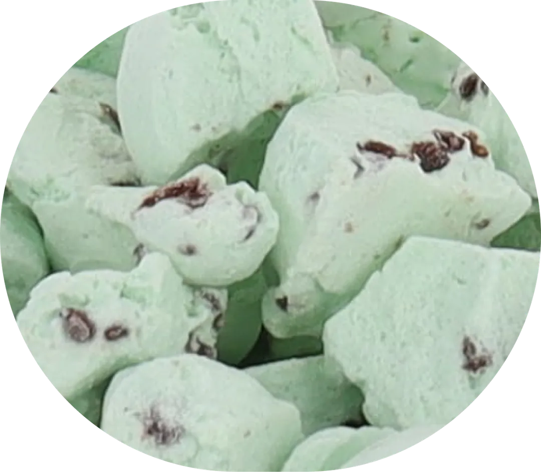 Freeze Dried Ice Cream (Mint Chip) (Small Bag, 1oz)