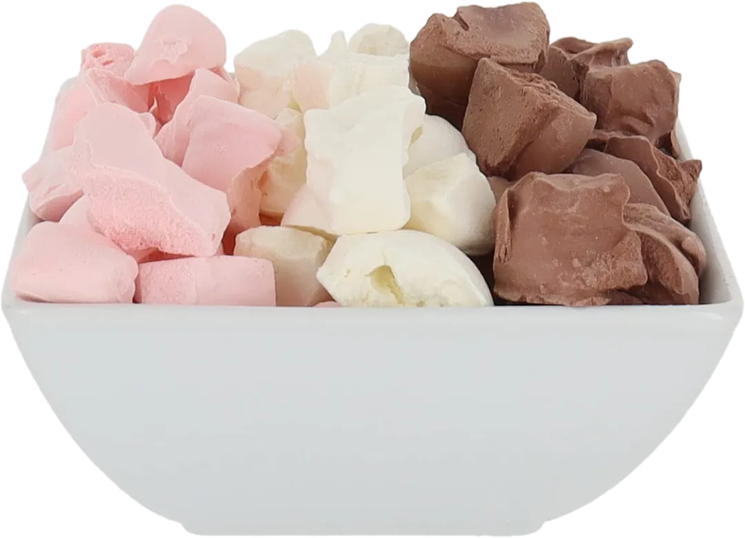 Freeze Dried Ice Cream (Neapolitan) (Large Bag, 2.5oz)
