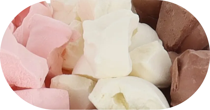Freeze Dried Ice Cream (Neapolitan) (Large Bag, 2.5oz)
