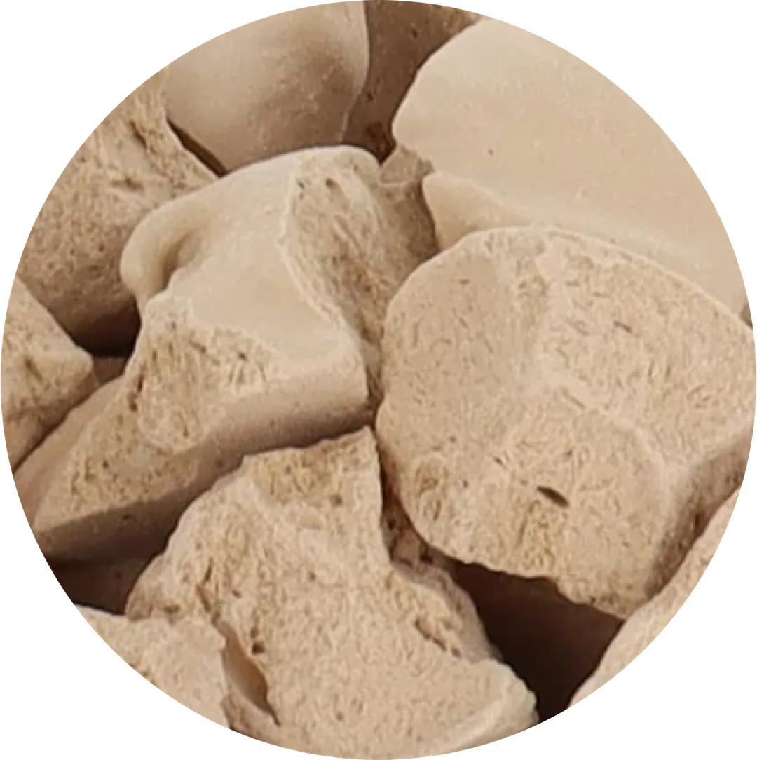 Freeze Dried Ice Cream (Salted Caramel) (Small Bag, 1oz)