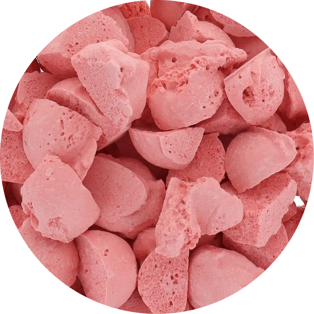 Freeze Dried Ice Cream (Watermelon) (Small Bag, 1oz)