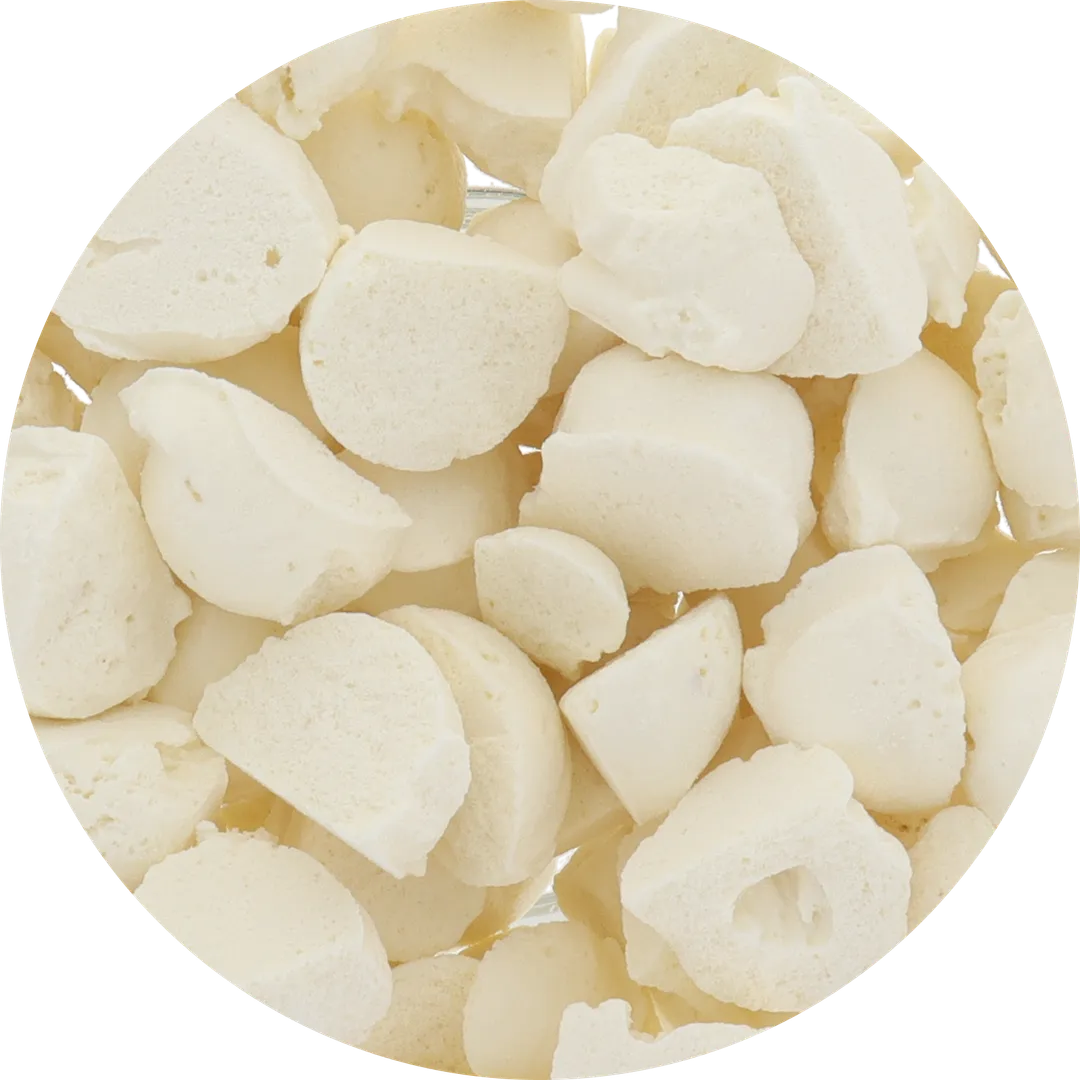 Freeze Dried Ice Cream (White Chocolate Macadamia) (Small Bag, 1oz)