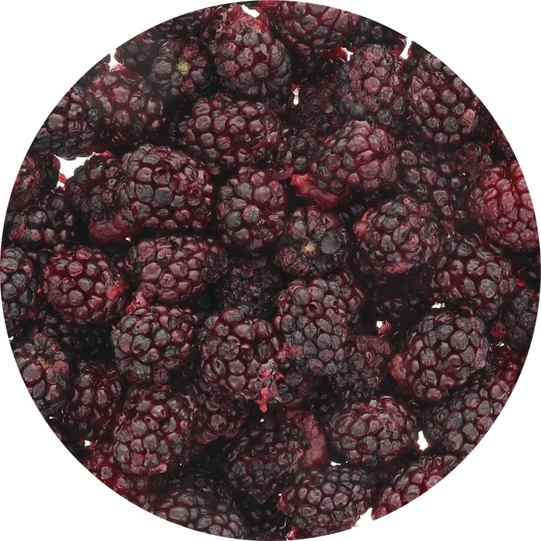 Freeze Dried Blackberry (100% Real Fruit) (Large Bag)