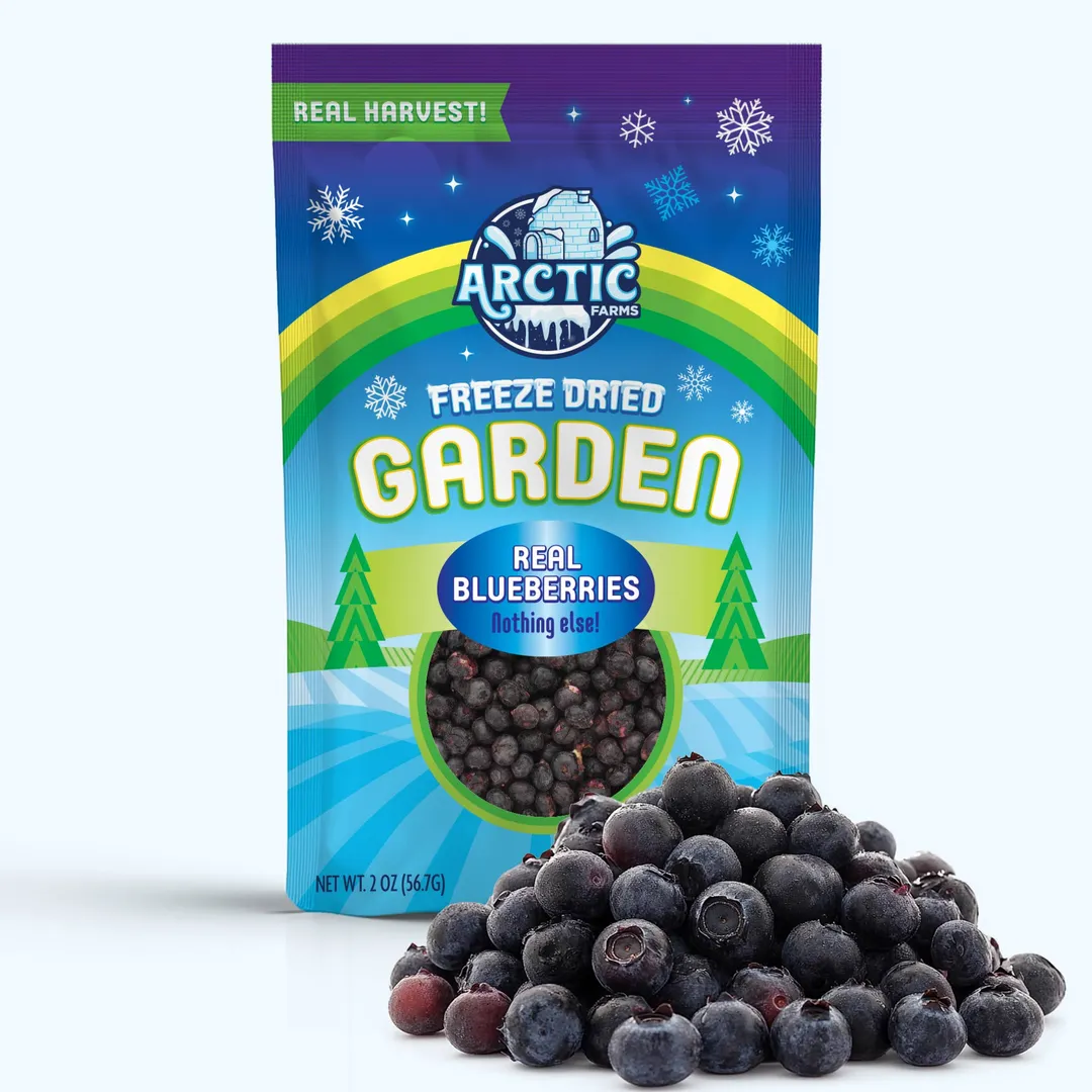 Freeze Dried Blueberries (100% Real Fruit) (Large Bag)