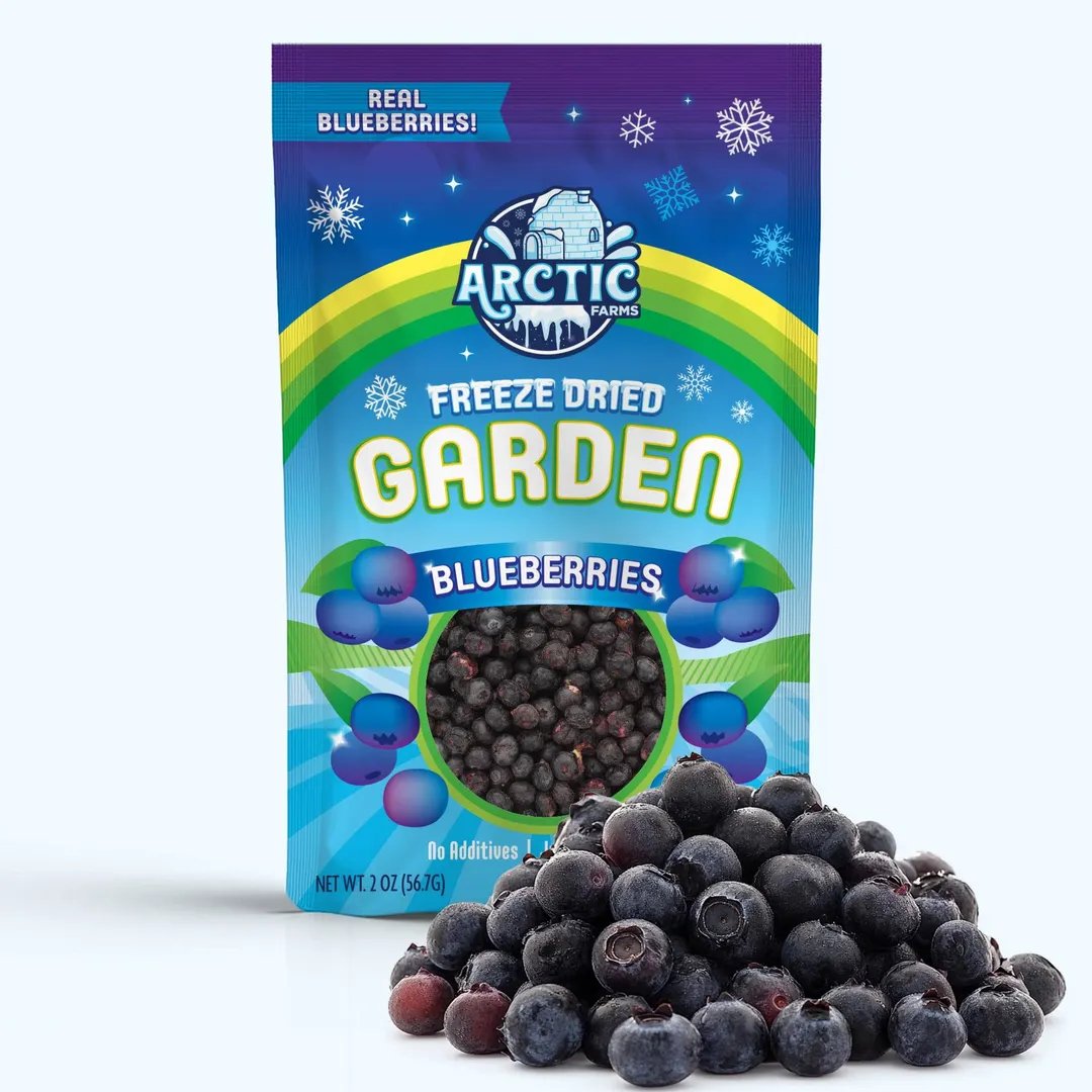 Freeze Dried Blueberries (100% Real Fruit) (Small Bag)