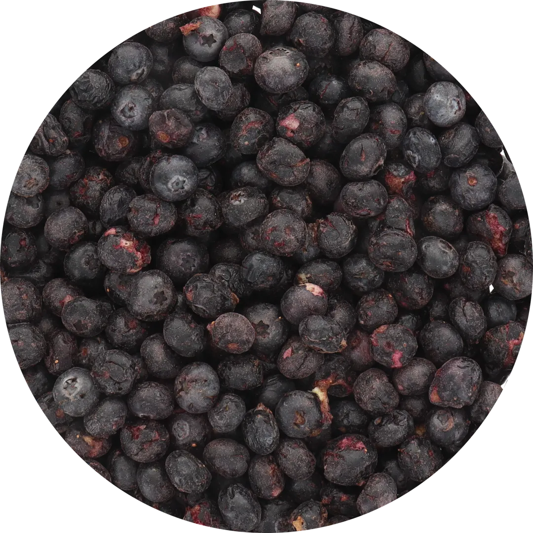 Freeze Dried Blueberries (100% Real Fruit) (Small Bag)