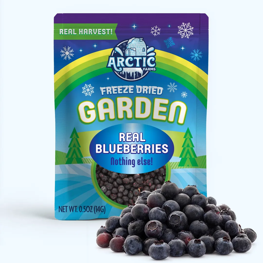 Freeze Dried Blueberries (100% Real Fruit) (Large Bag)